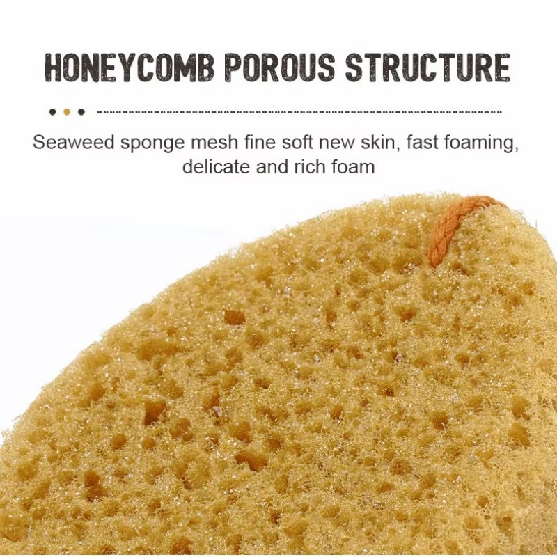 Herramientas de limpieza para el hogar de Melamine Sponge Professional